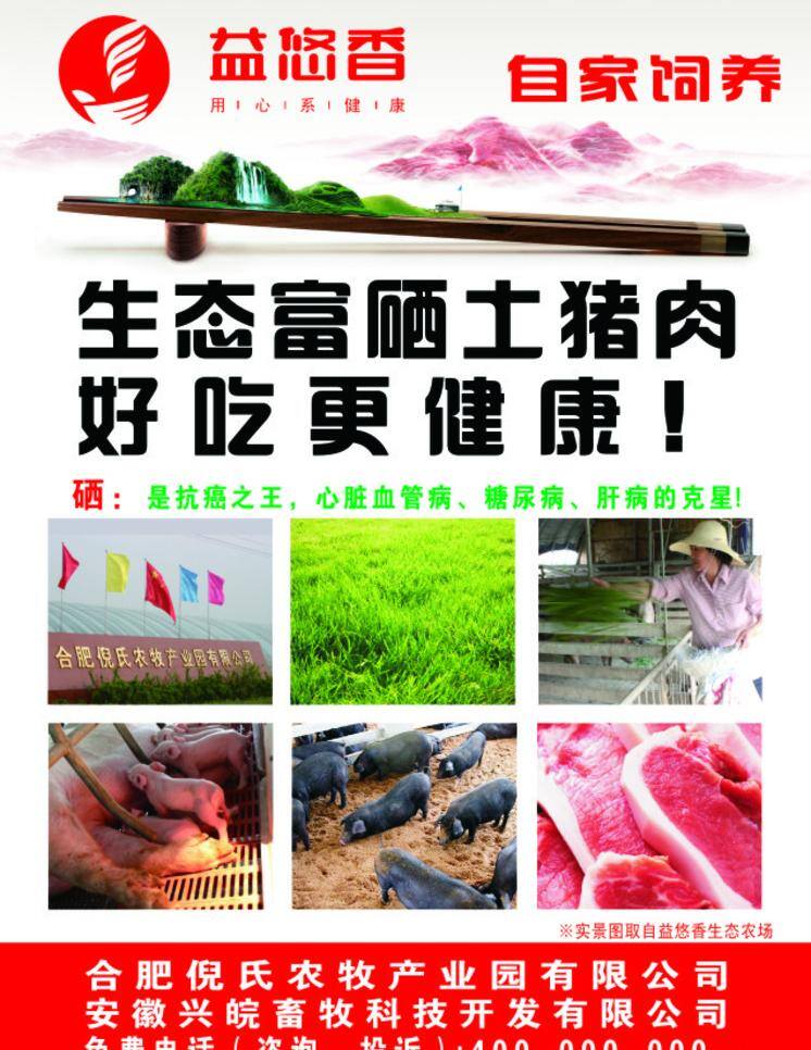 生态 富 硒 土 猪肉 dm宣传单 单页 红色 环保 绿色 富硒 土猪肉 cdr美观 新意 富硒土猪肉