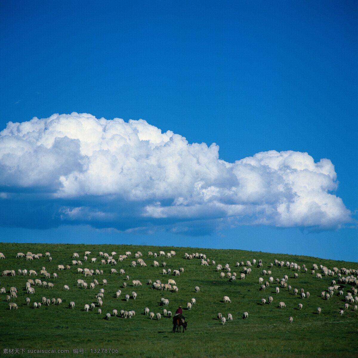 放牧 天空 蓝天 云彩 白云 草原 牛羊 自然景观 自然风景 草地 蒙古 大草原 摄影图片 旅游摄影 国内旅游