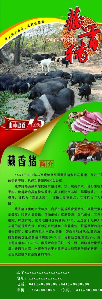 藏香猪肉海报 绿色 生态 健康藏香猪肉 招贴 海报 展板模板