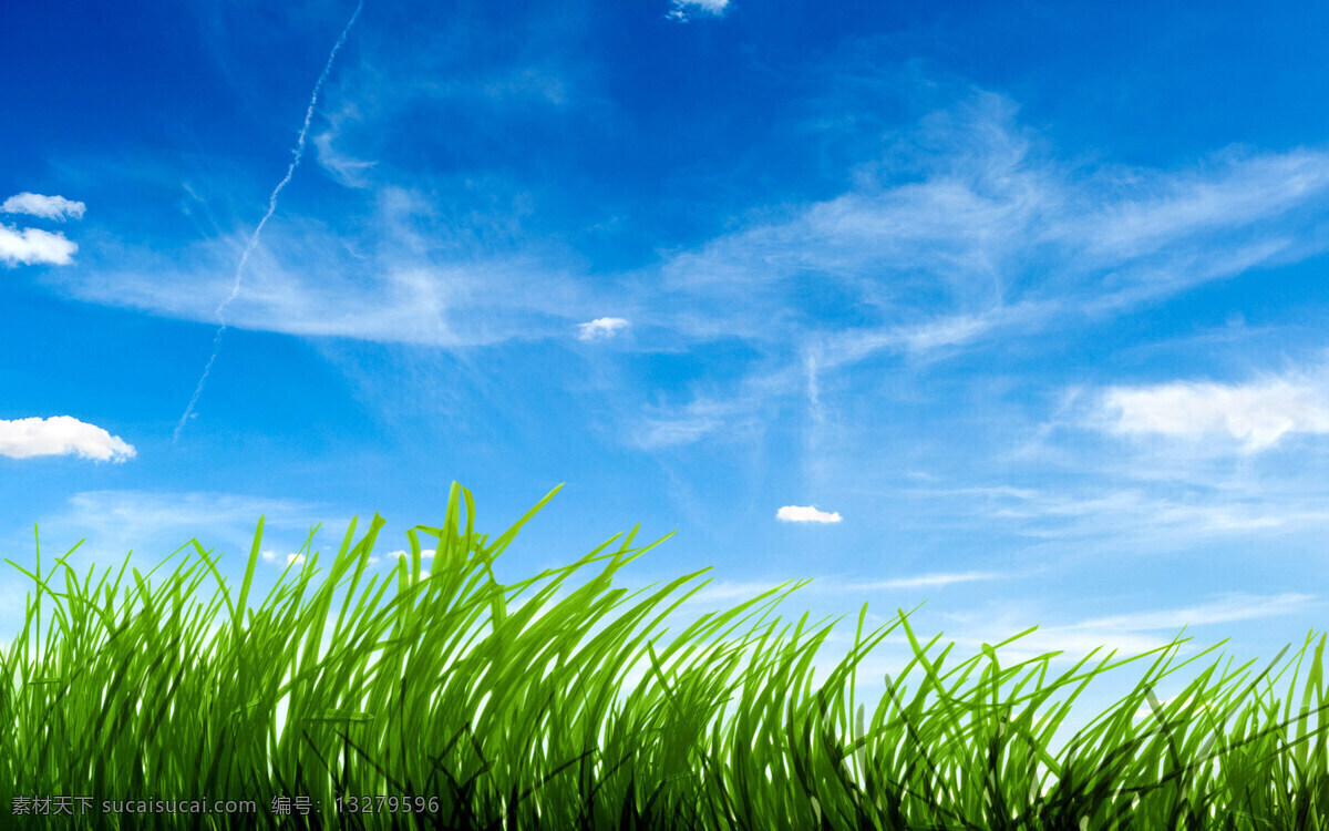 动漫风景 风景 草地 蓝天 壁纸 蓝天白云 高清大图 动漫动画 风景漫画