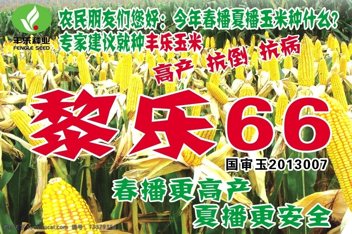 玉米展板宣传 黎乐66 玉米 展板宣传 玉米地 丰乐种业标志 先治宣传单 海报 单页 展板模板