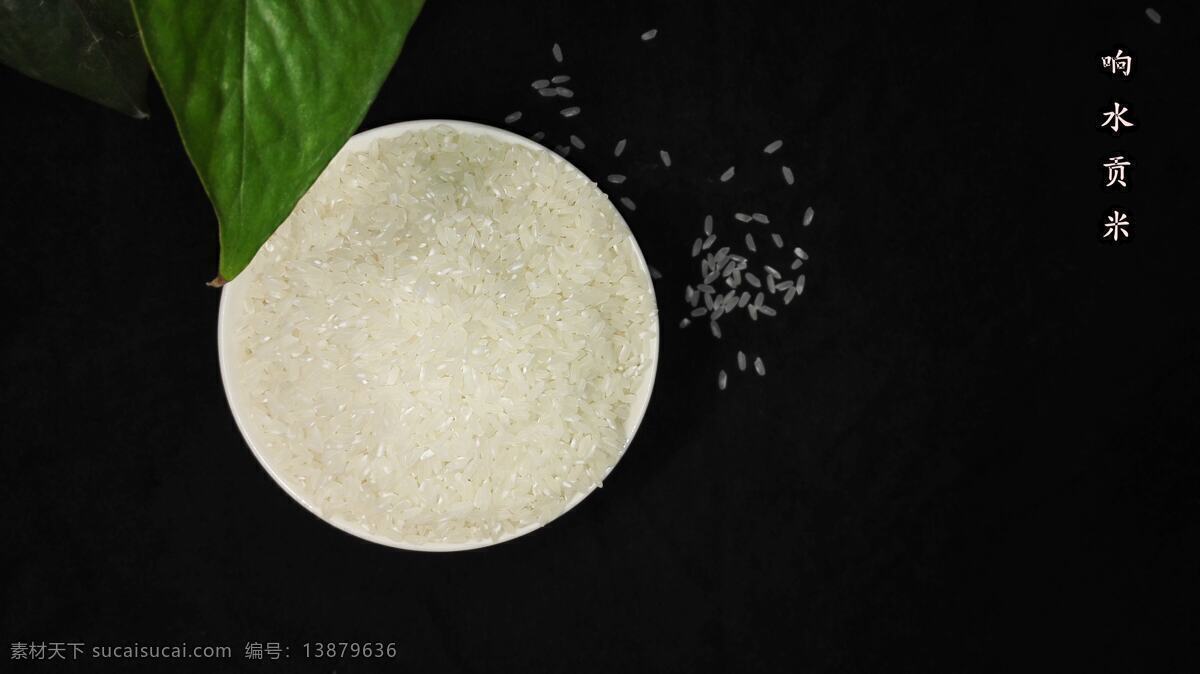 响水贡米 响水大米 美食 唯美食材 大米写真 家乡的味道 摄影作品 餐饮美食 传统美食
