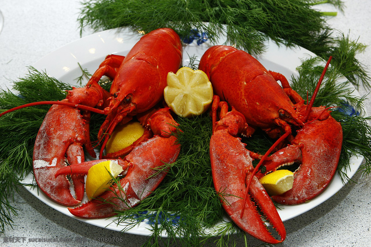 龙虾 海鲜 虾 虾仁 螃蟹 大闸蟹 油炸 生蚝 扇贝 海参 鲍鱼 章鱼 美食 餐饮 海鲜大杂烩 寿司 饮食 食物 美味 烤鱼 鱼 鱼肉 烧烤 鲤鱼 海鱼 皮皮虾 鱼片 背景 美食背景 餐饮背景 餐饮文化 艺术