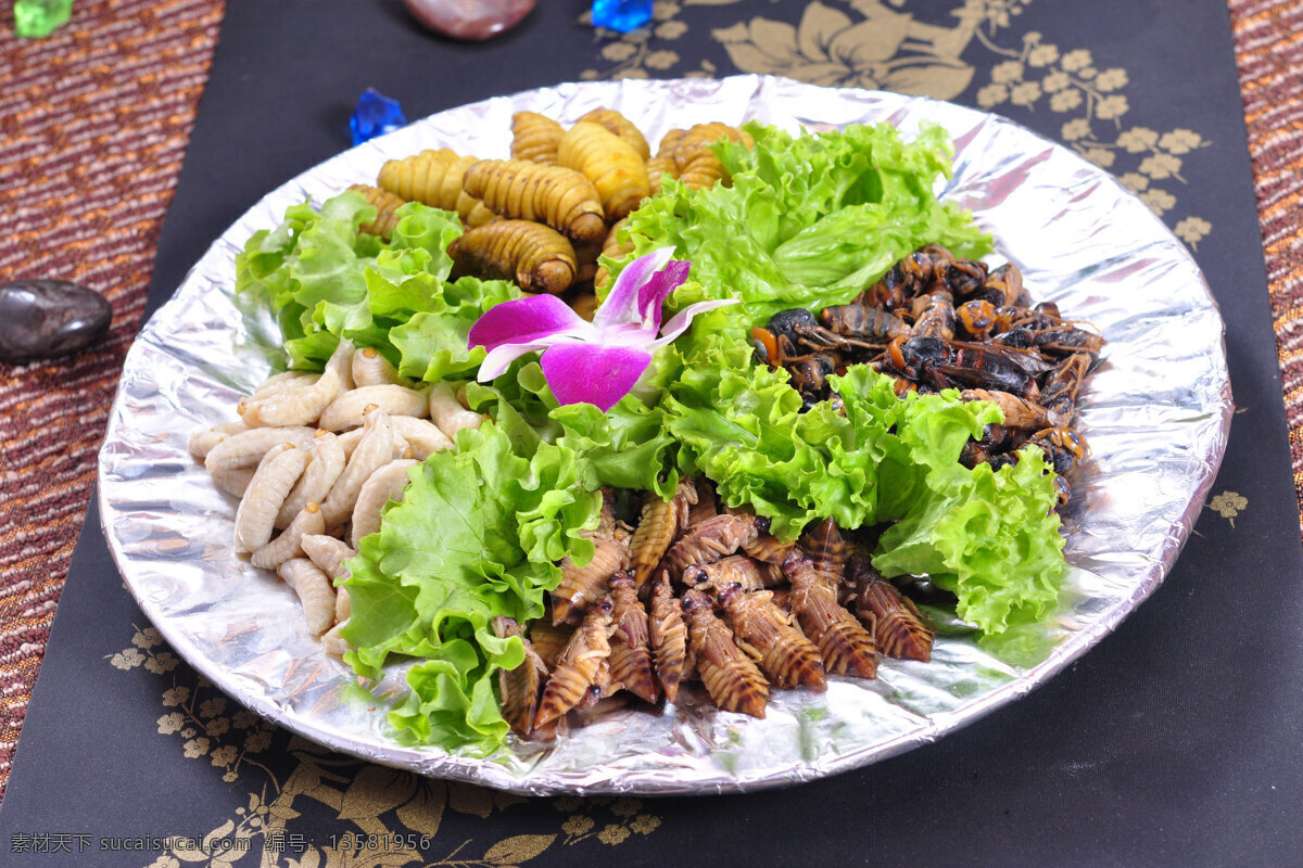 昆虫拼盘 珍品四宝拼盘 烤昆虫 昆虫 昆虫宴 美食 小吃 虫子 油炸昆虫 高清菜谱用图 餐饮美食 传统美食