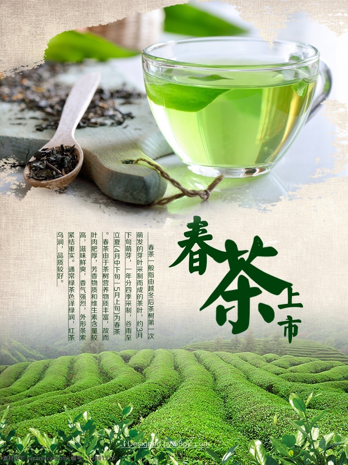 春茶 茶文化 海报 春茶海报 茶海报 春茶上市 绿茶 茶叶 茶