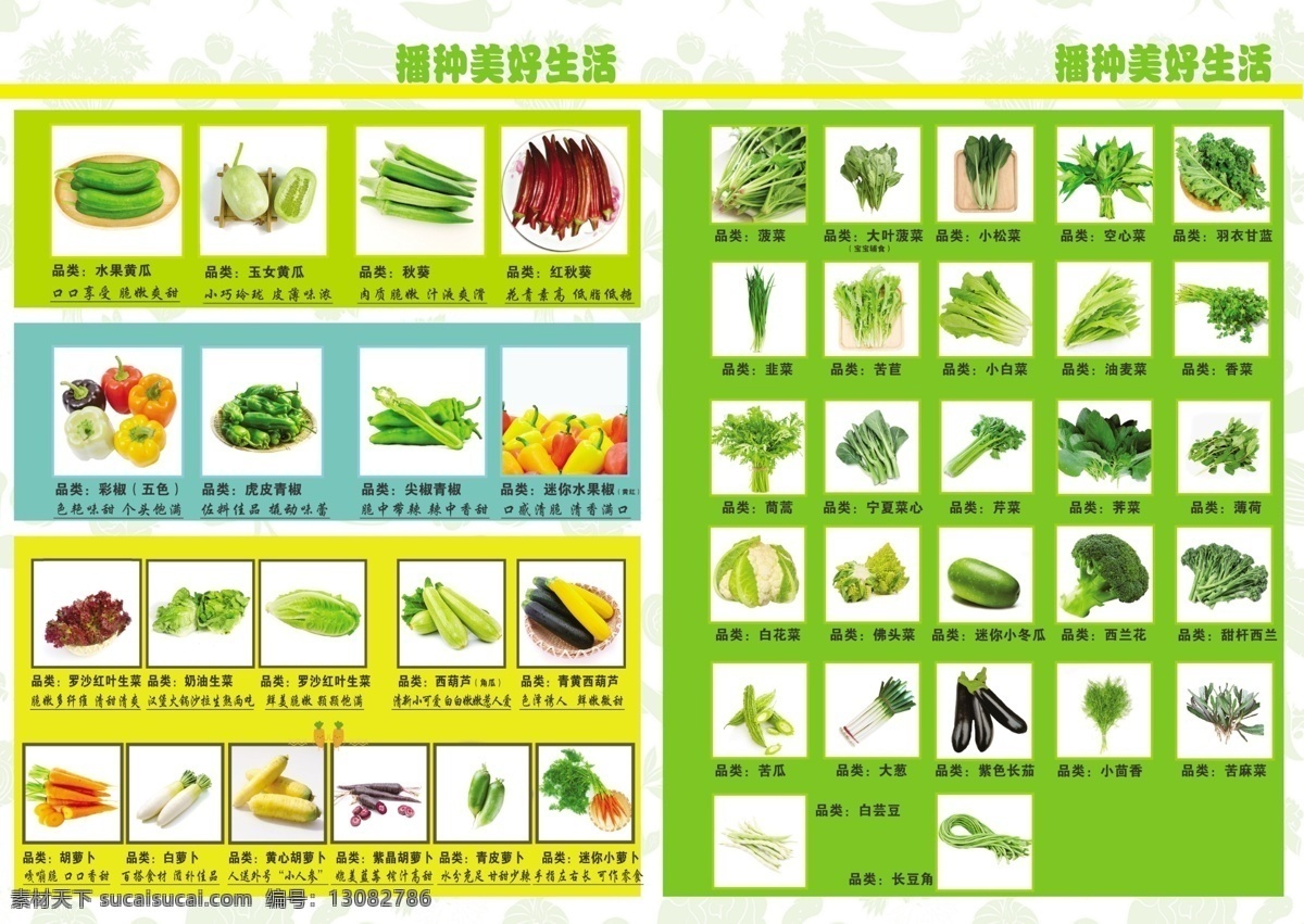 蔬菜 dm 单 超市 果蔬 dm单 宣传折页 西蓝花 分层
