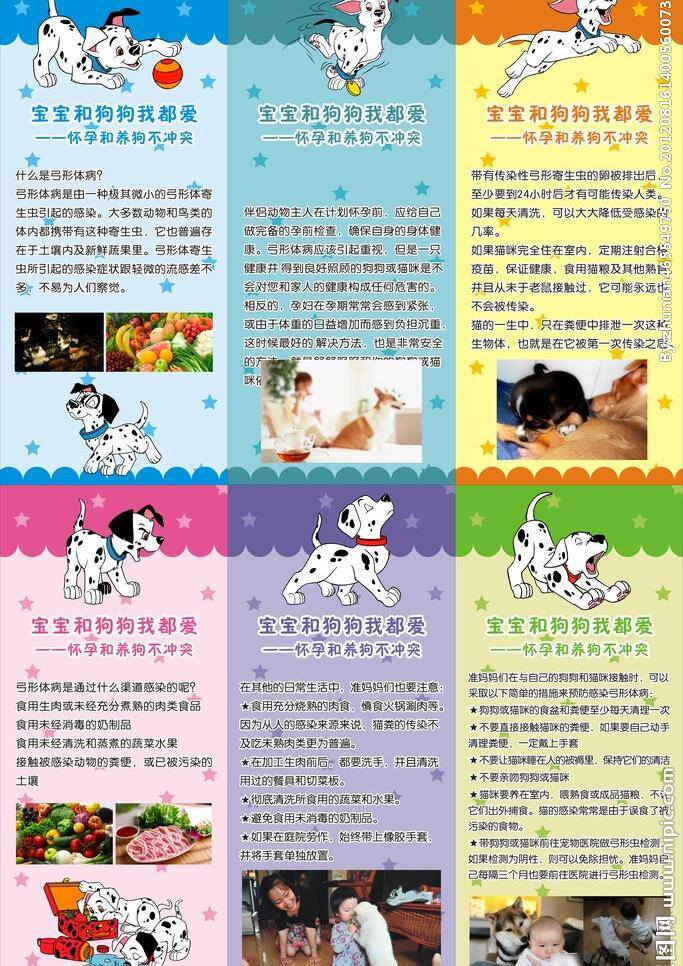 保护 动物 狗狗 广告 生命 小狗 易拉宝 展板 爱 狗 矢量 模板下载 爱狗易拉宝 爱狗 爱护动物 狂犬病 展架 爱狗宣传板 自然 展板模板 易拉宝设计