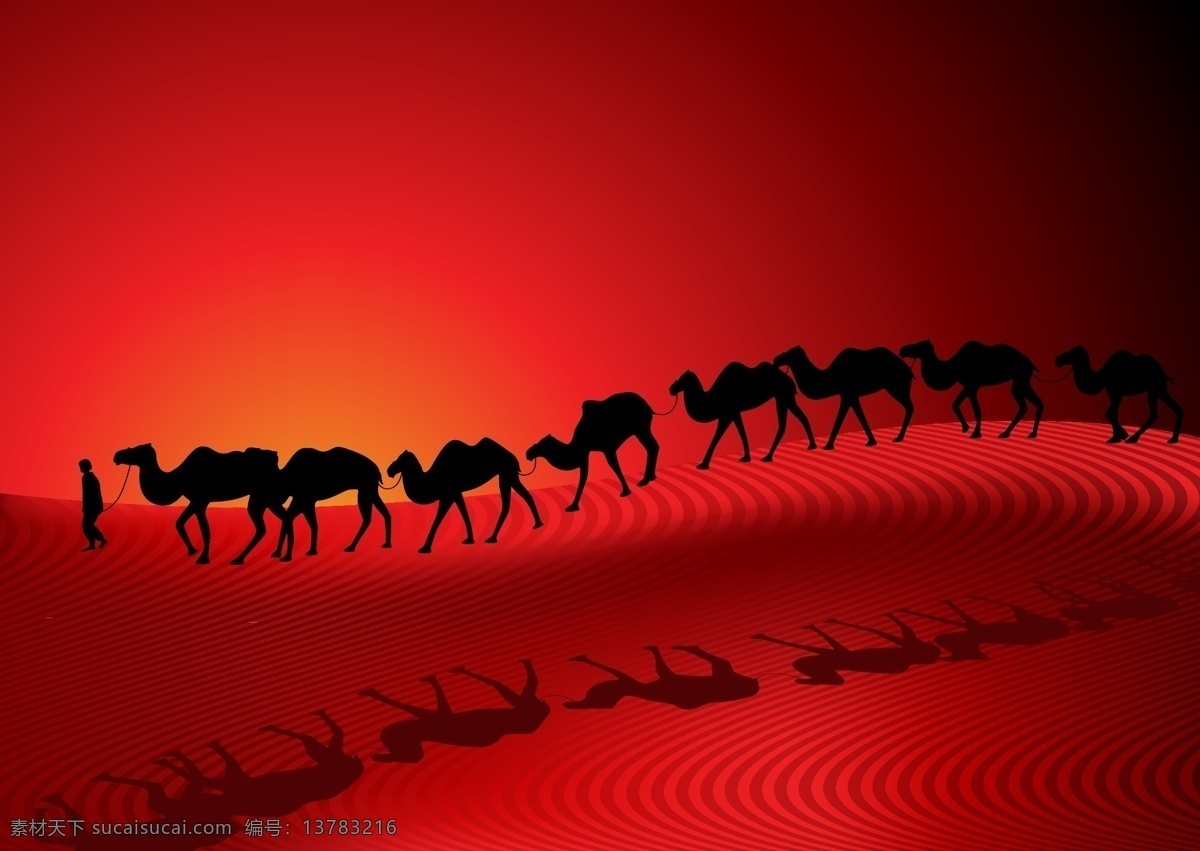 沙漠 里 行走 一群 骆驼 沙漠里 行走的 一群骆驼 黄昏