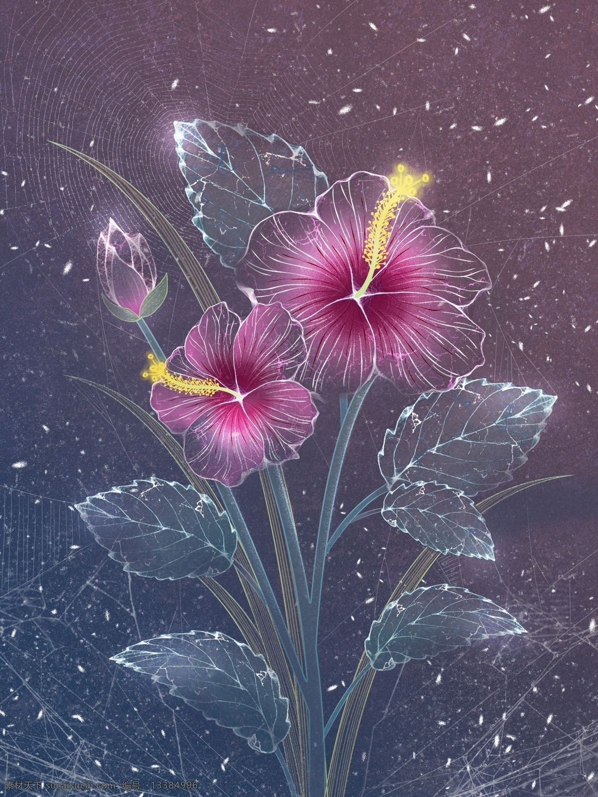 原创 独特 透明感 木槿花 插画 独特透明感 透明 透明插画 国潮 中国风 透明花 小林范之 透明感插画 海报