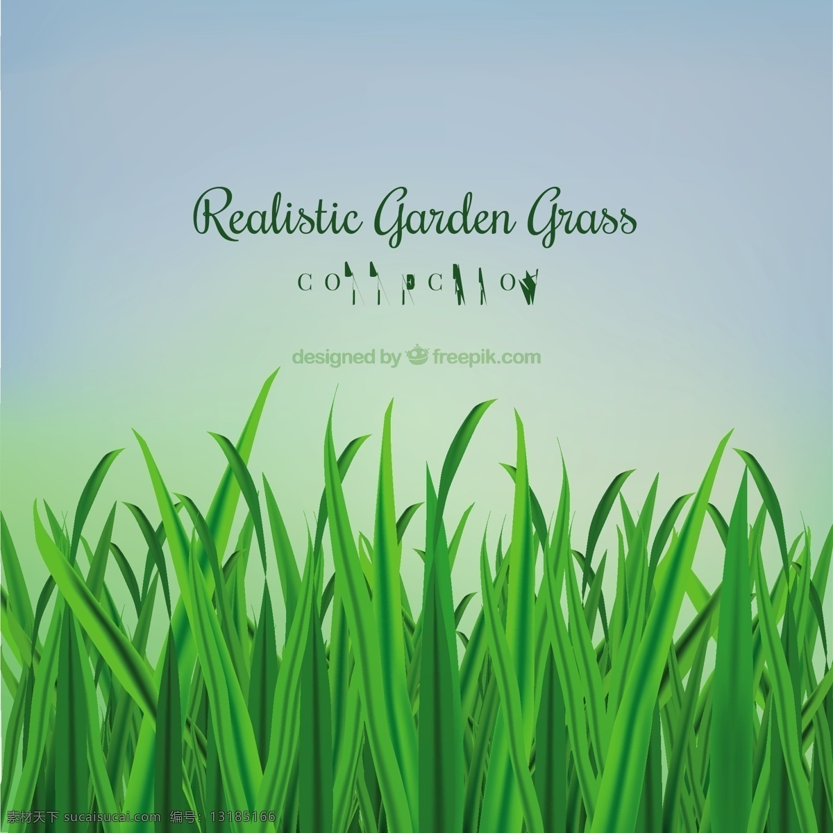 现实的草园 自然 草地 花园 剪影 植物 园艺 种植 轮廓 草坪 采集 现实 培育 绿色