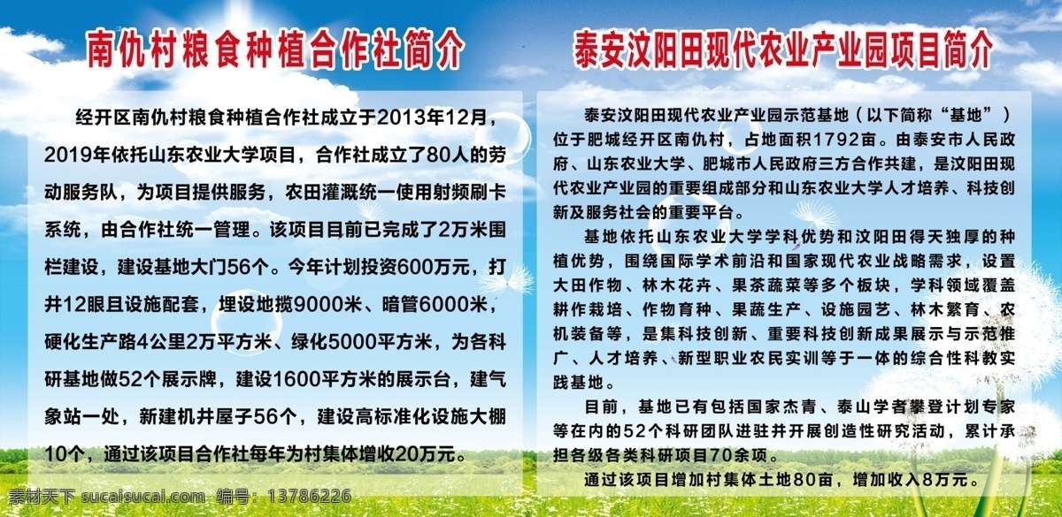 南 仇 村 粮食 种植 合作社 简介 南仇村 合作社简介 绿色草坪 蓝色天空