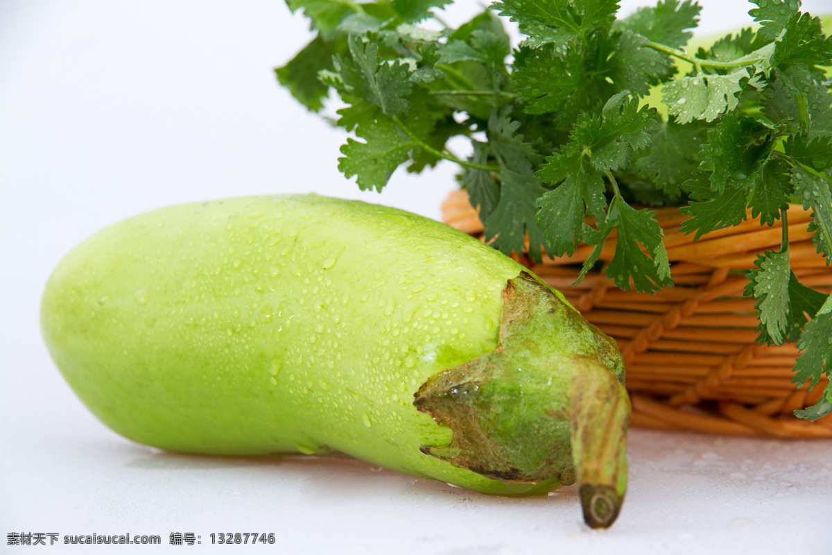 茄子 青茄子 蔬菜 有机 绿色 食物 生物世界