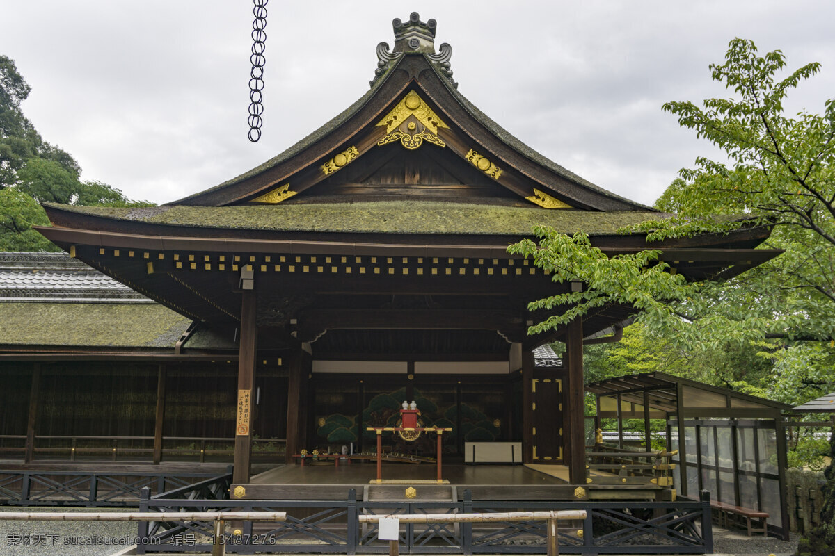 日式建筑 日本 旅游 寺庙 京都 大图 神社 无人 建筑 日式 木质结构 正视图 神龛 植物 树 旅游摄影 人文景观