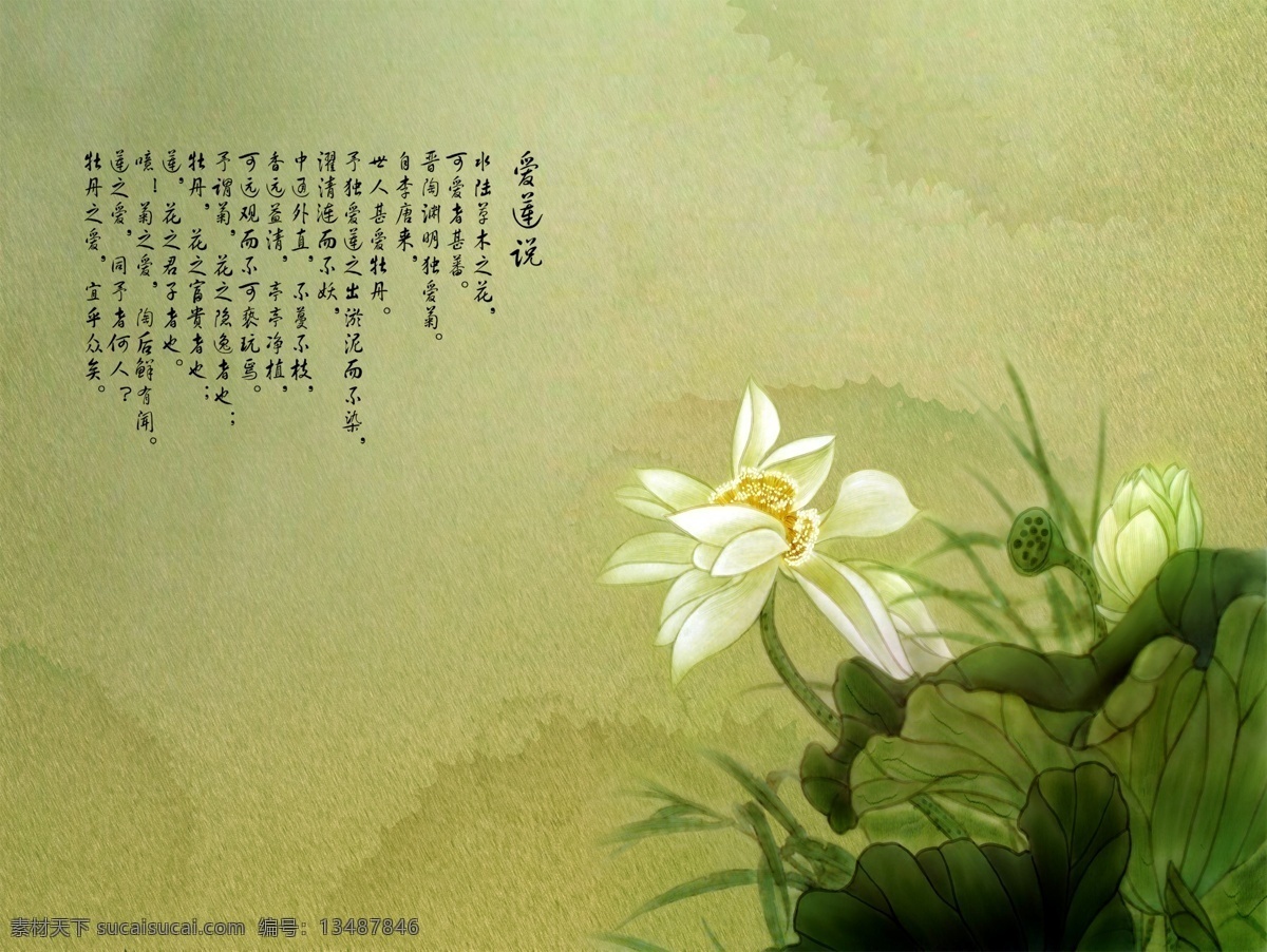 莲花 海报 海报模板 海报素材 海报下载 源文件