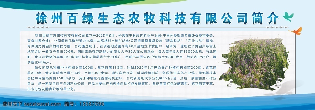 公司简介 环保 绿色 蓝色背景 构树
