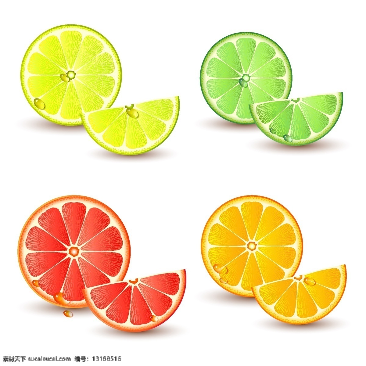 橙子 橙汁 柑橘 桔子 生物世界 矢量素材 水果 新鲜 新鲜水果 橙子矢量素材 橙子模板下载 西柚 矢量 矢量图 日常生活