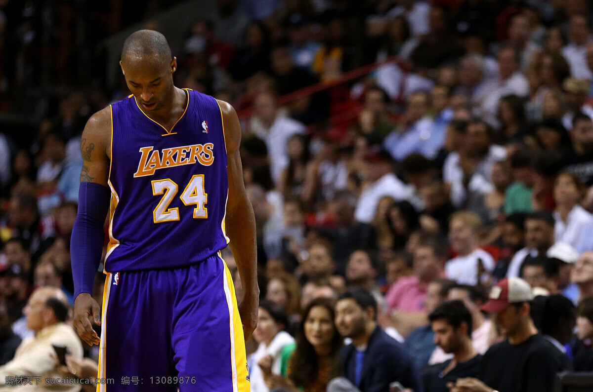 科比 篮球 nba 体育 美职篮 明星偶像 人物图库