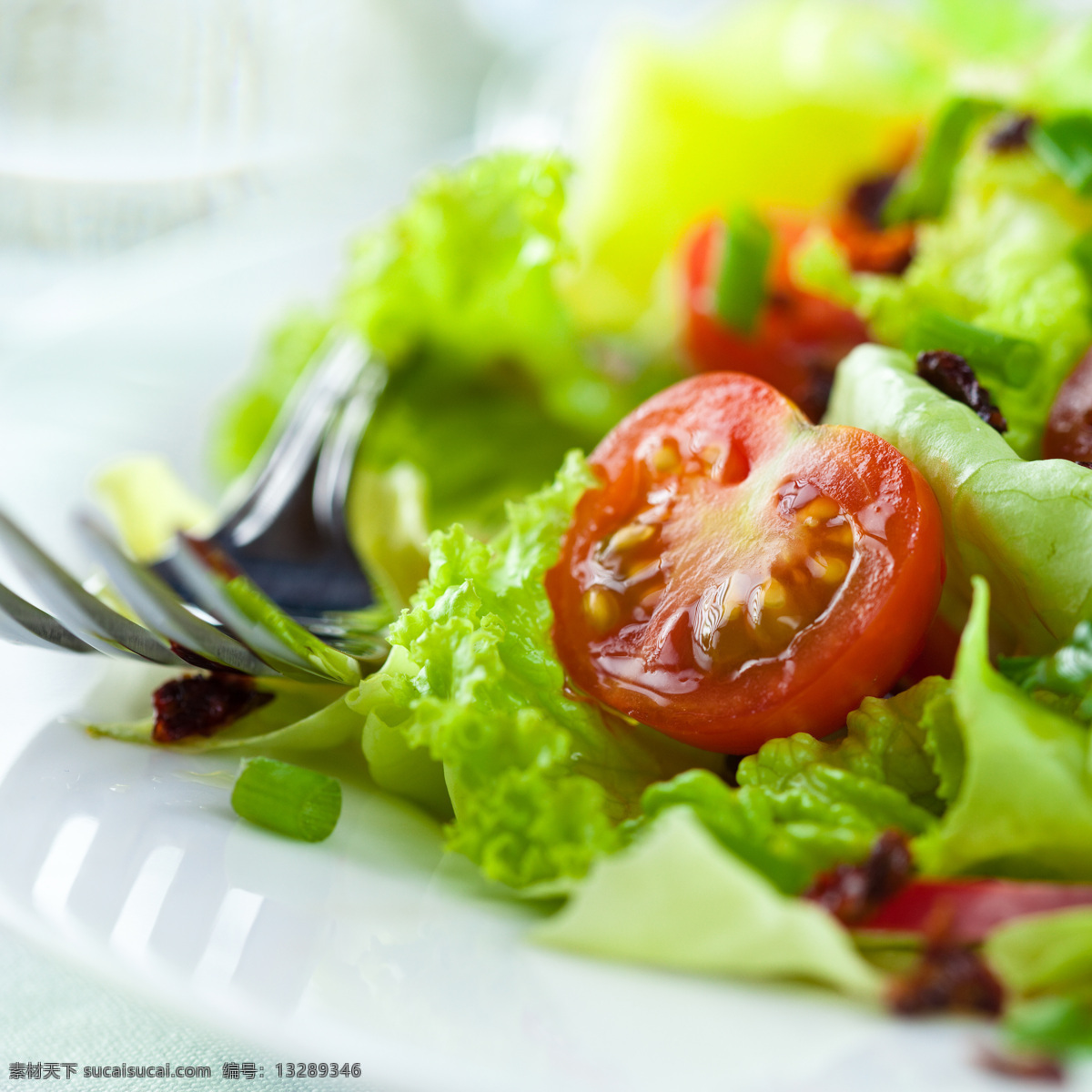 番茄 生菜 沙拉 西红柿 蔬菜沙拉 美食 美味 食物摄影 水果蔬菜 餐饮美食 蔬菜图片