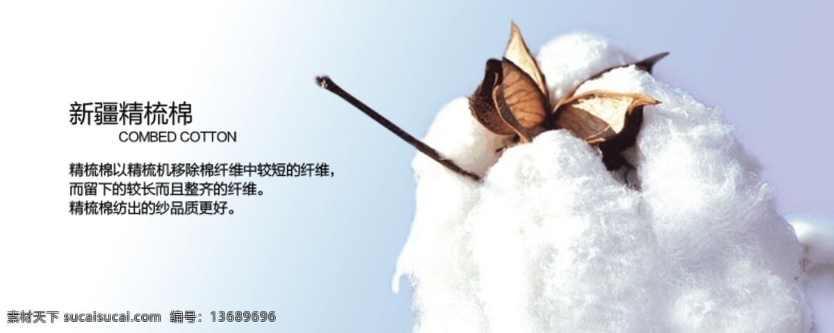 精梳 棉 海报 模板 精梳棉 纯棉 淘宝 广告 banner 淘宝界面设计 源文件