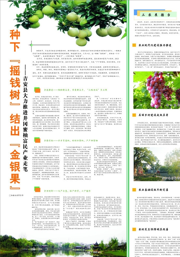种 下 摇钱树 结出 金银 果 风景画 柚子树 横江葡萄 画报 农业 方面 文字 内容 种下摇钱树 结出金银果 dm宣传单 矢量