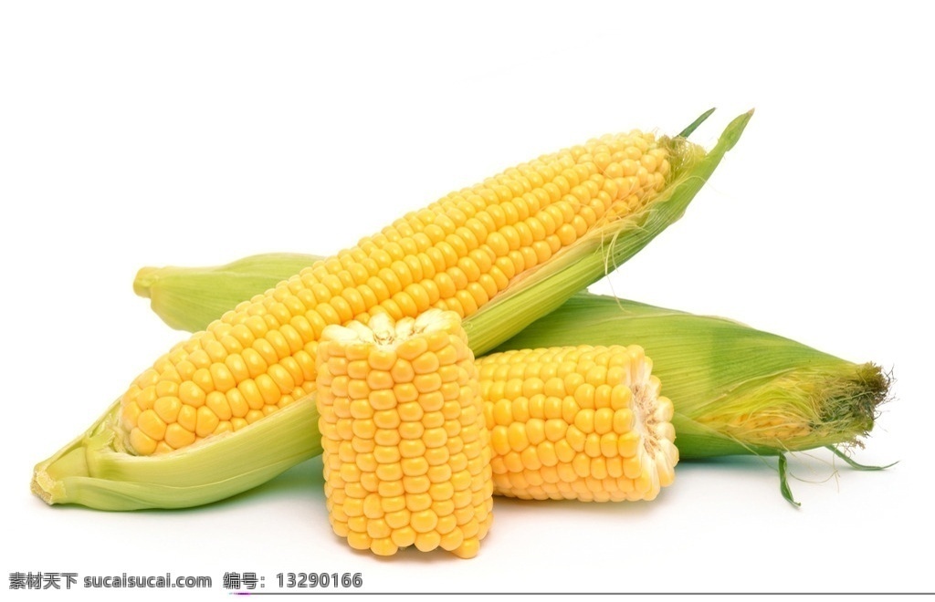 玉米 玉米棒 甜玉米 包谷 苞米 棒子 玉米棒子 食物原料 五谷杂粮 餐饮美食