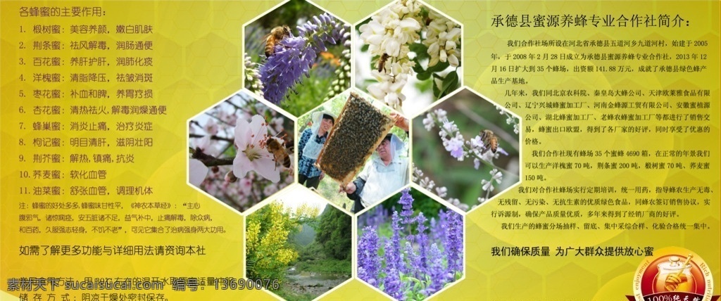 蜜蜂展板 蜜蜂背景 蜜蜂 蜜蜂养殖 蜜蜂板 乡镇企业事业 分层