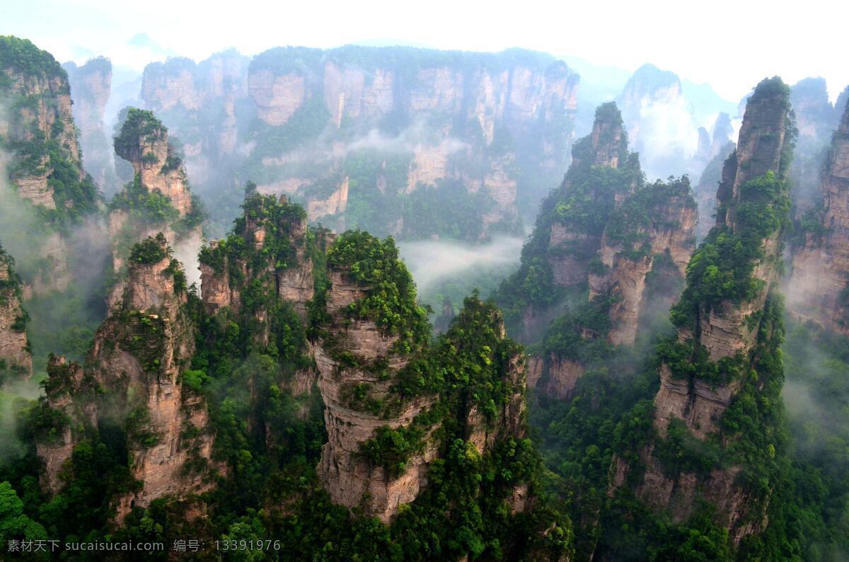 张家界 云雾 雨后 名胜 武陵源 奇石 风景 松树 绝景 山景 自然景观 自然风景