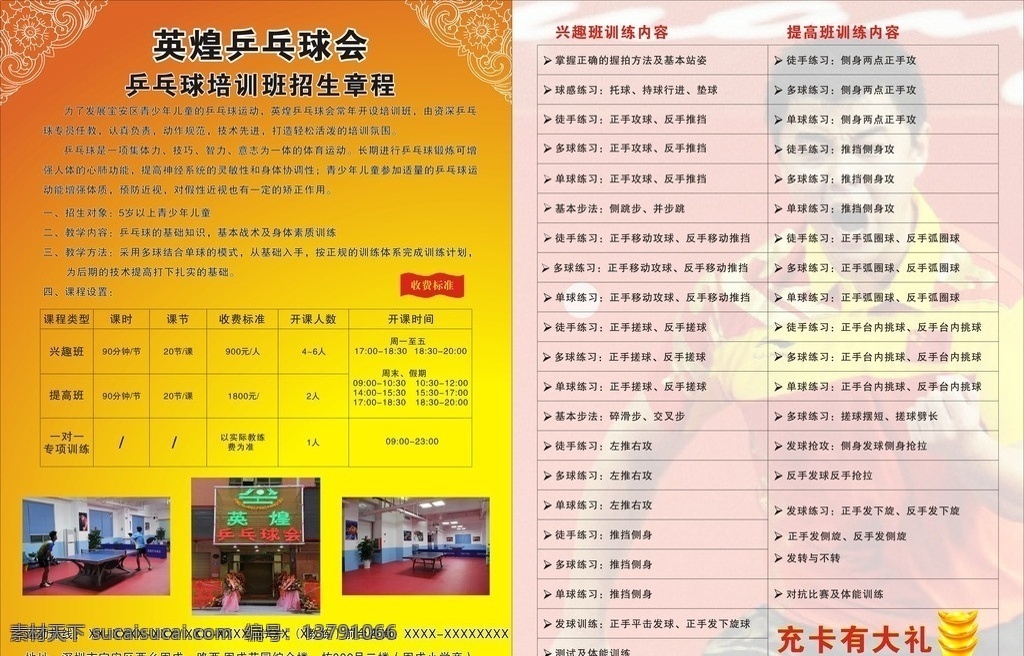 乒乓球 运动 奥运 乒乓球培训 乒乓球彩页 矢量