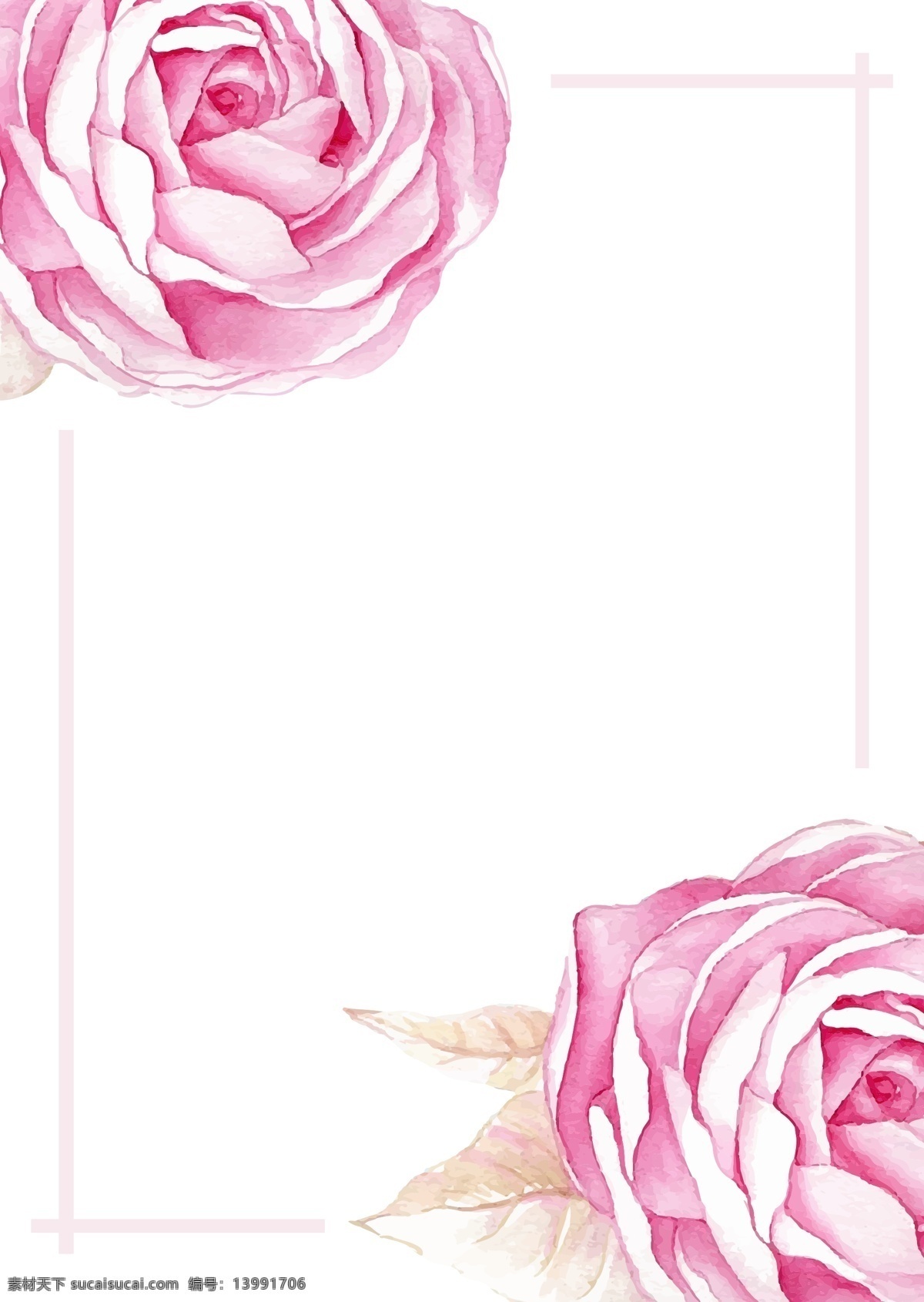 矢量 水彩 玫瑰花 边框 背景 粉色 手绘 婚庆 情人节 海报