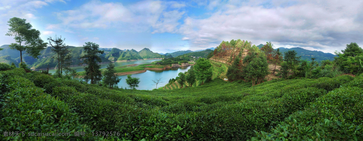 茶园 风景 蓝天草地 一片茶园 栖凤湖 自然景观 山水风景