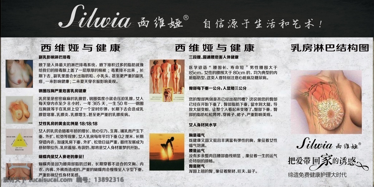 西维娅内衣 西维娅与健康 西维娅 女性 乳房 艺术 展板