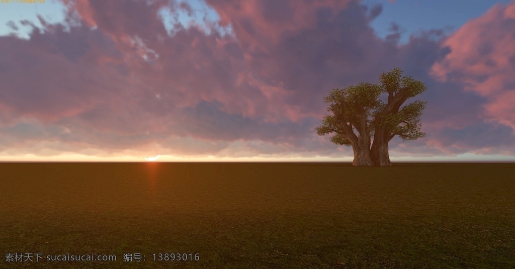 古树夕阳 古树 夕阳西下 云朵 落日 余晖 草原 天空 傍晚 地平线 多媒体 实拍视频 自然风光 mp4