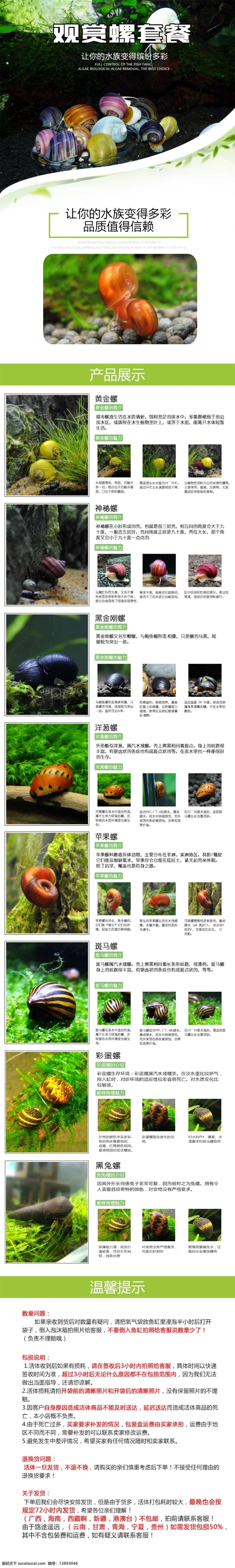 水族 观赏 螺 套餐 淘宝 详情 页 小景观 简约详情 绿色详情 小清新 观赏螺套餐 水族动物 动物详情页