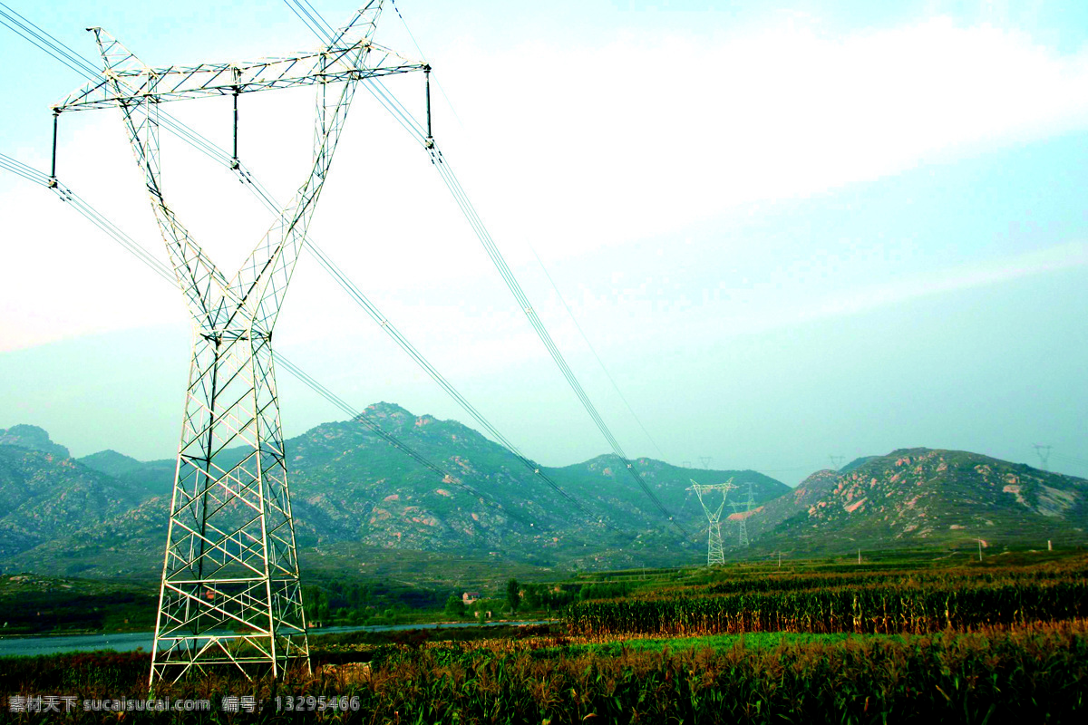 电塔照片 电塔 电力 电网 电线 玉米地 自然风景 自然景观