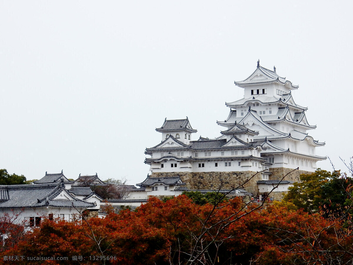 秋天的姬路城 姬路 姫路 日本 兵库 关西 照片 旅游 风景 遗产 旅游摄影 国外旅游