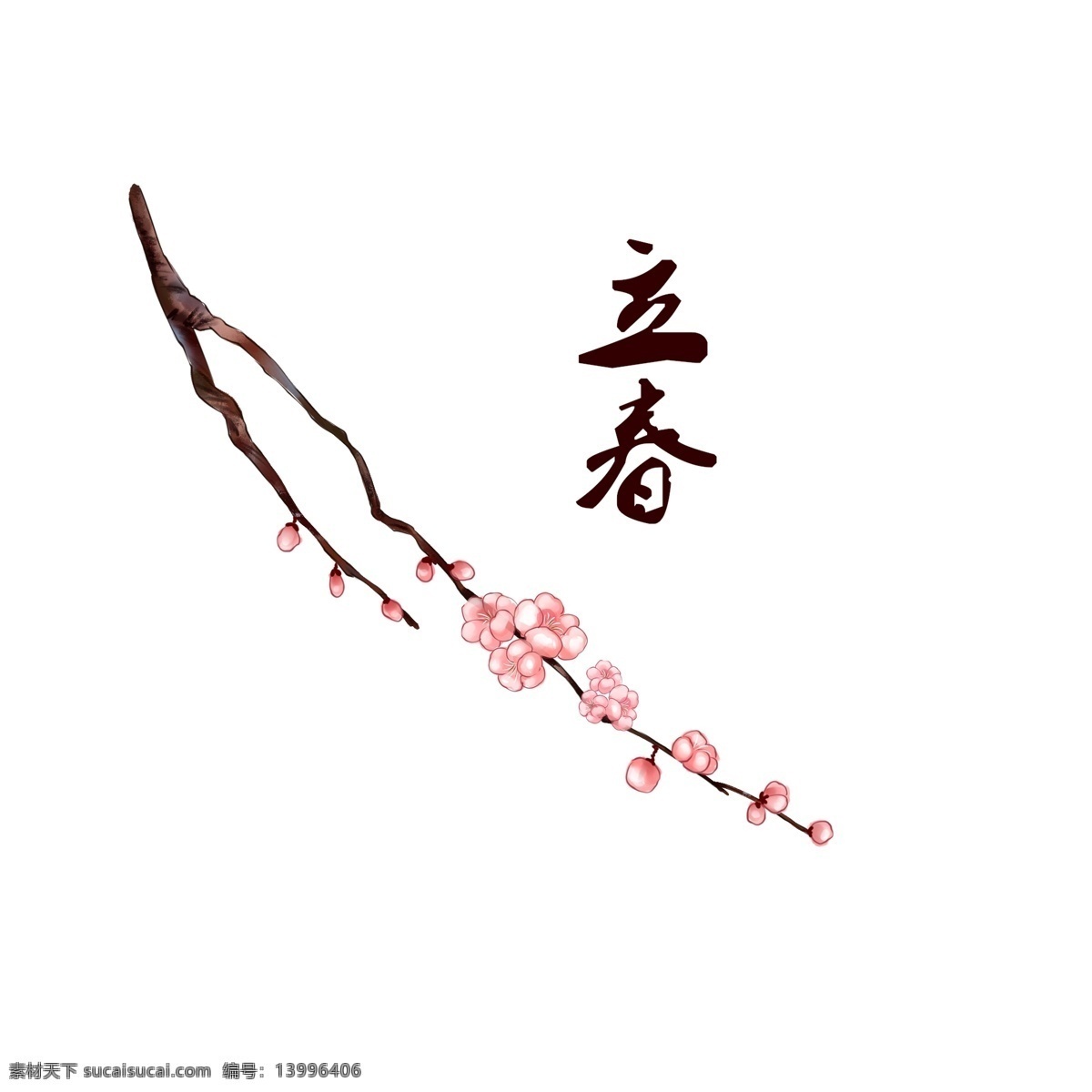 立春 桃花 树枝 手绘 插画 免 扣 装饰 图案 节气 粉色 春天 开花 花苞 植物 中国风 花 卡通 简约