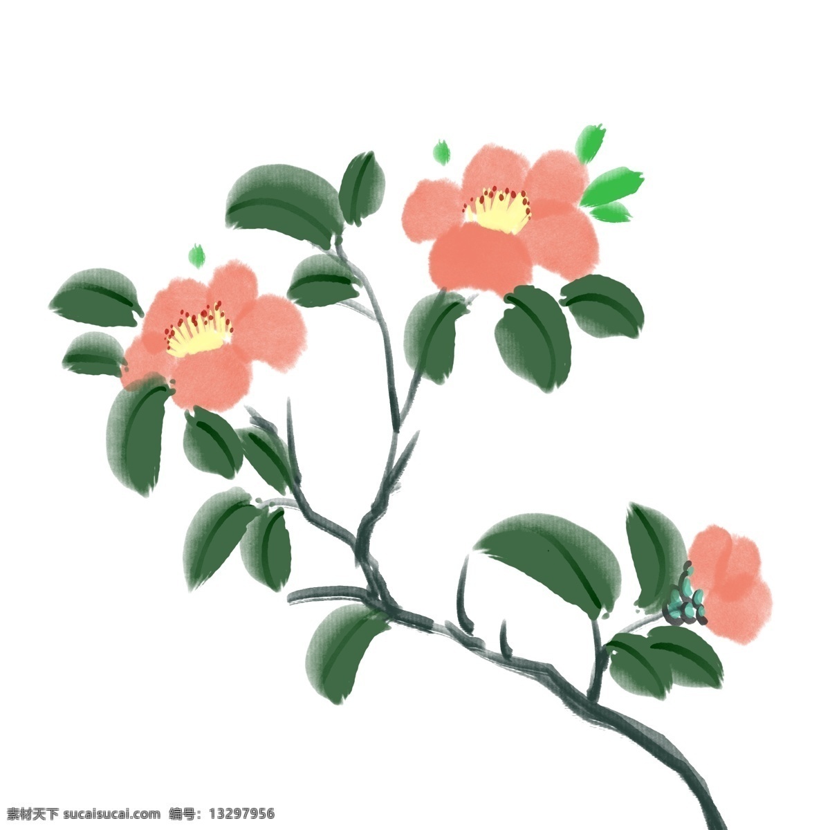山茶花 卡通 植物 花朵