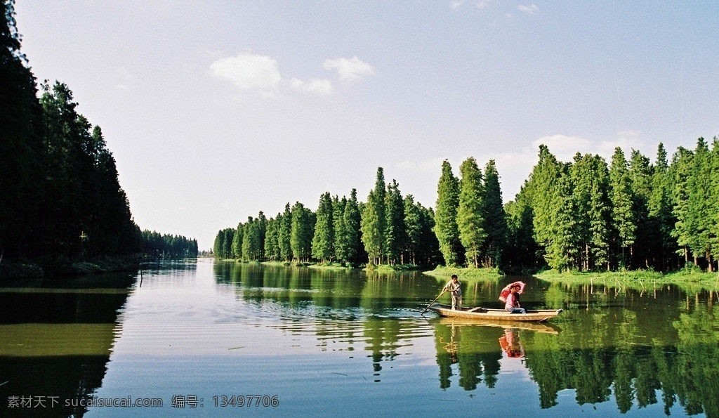 兴化水上森林 树木 水面 树林 绿树 倒影 碧水 湖水 风景 山水风景 自然景观