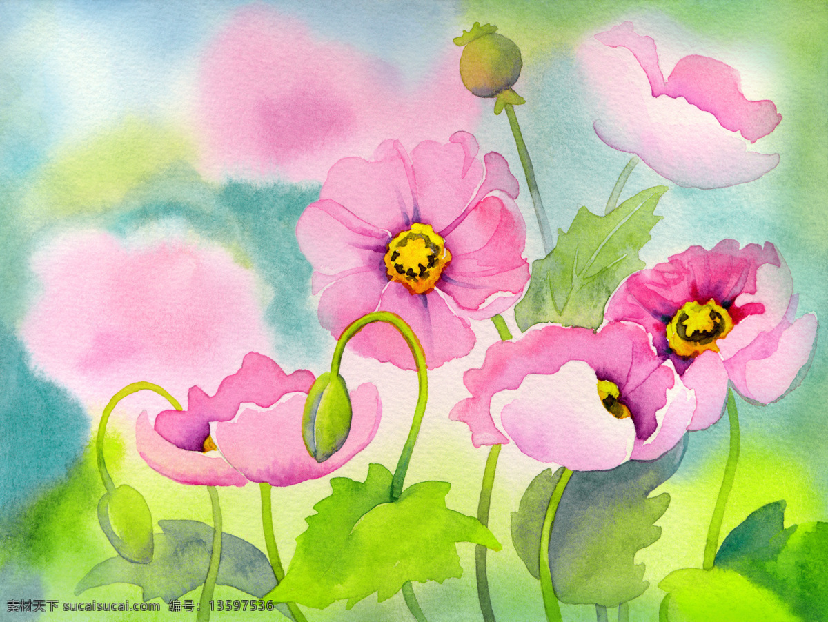 水彩鲜花背景 百合花 鲜花 水彩画 水彩花朵 美丽花朵 漂亮鲜花 鲜艳的花朵 花草树木 生物世界 绿色