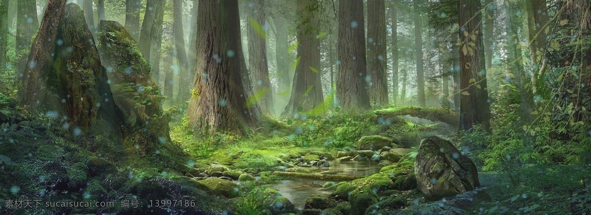 森林光感背景 森林 夜景 简约 唯美 文艺 清新 质感 纹理