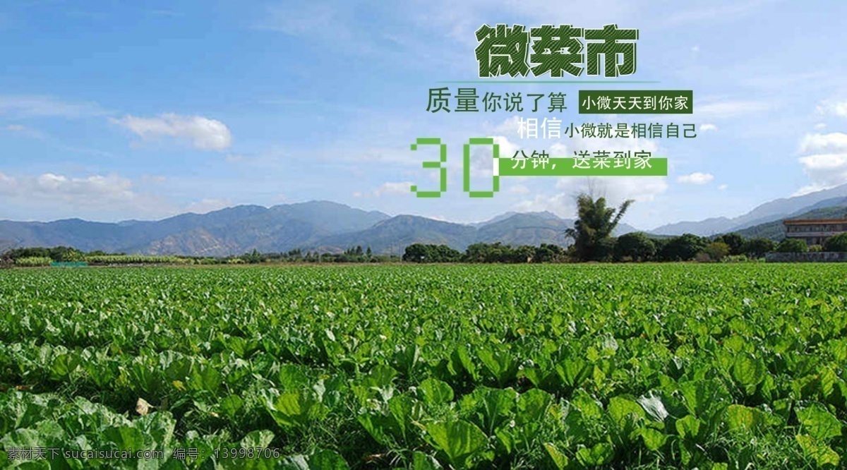 ps 高清 绿色 菜田 海报下载 绿色背景 排版 海报 psd源文件 餐饮素材