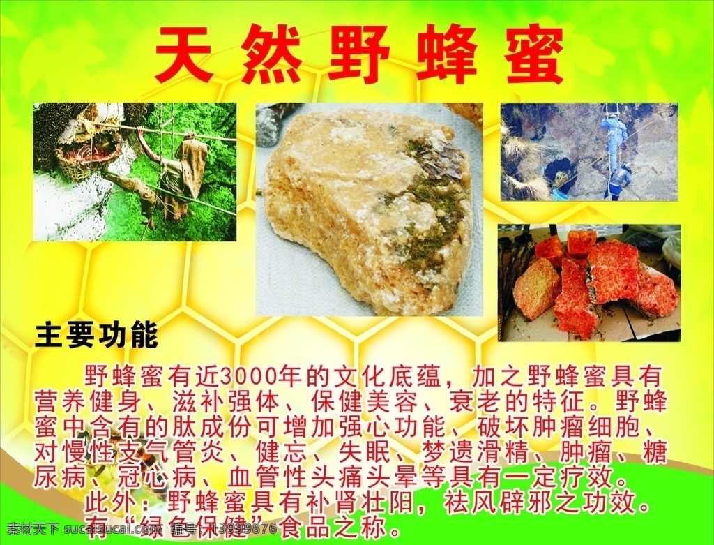 天然野蜂蜜 野蜜蜂 采蜜