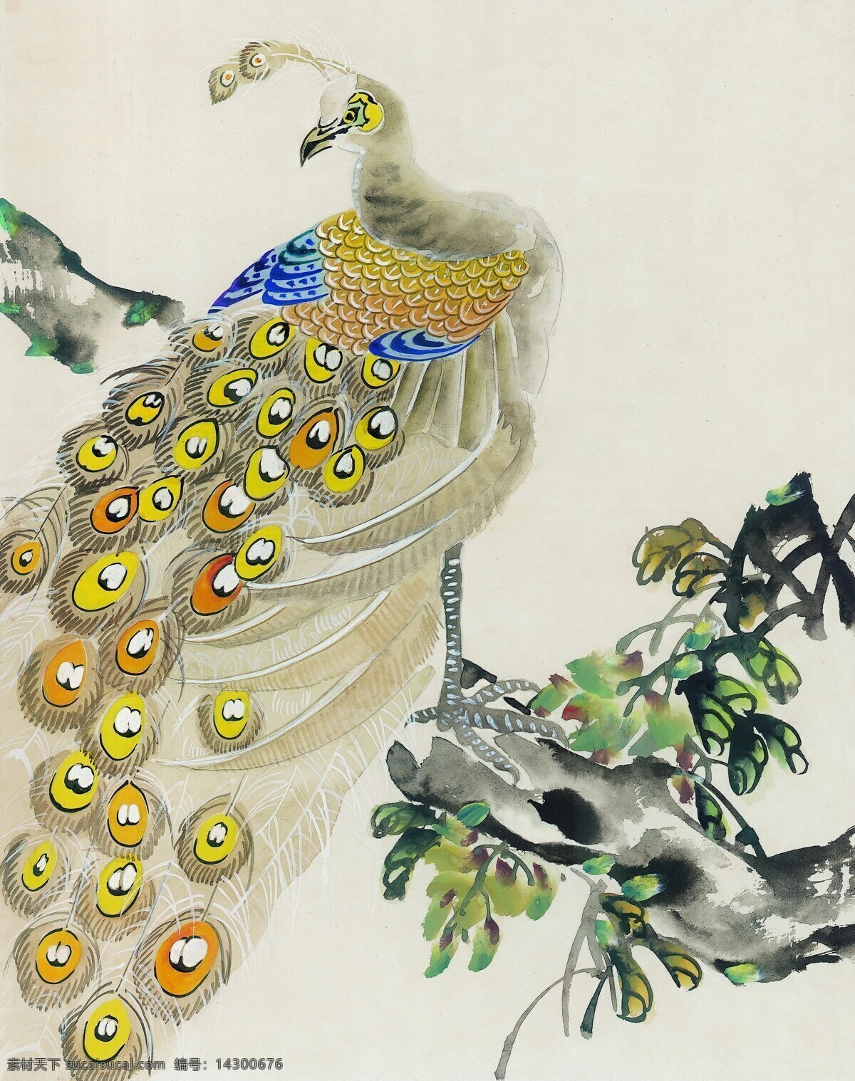 吉祥鸟图片 传统 国画 中国风 工笔 孔雀 吉祥鸟类 文化艺术 绘画书法