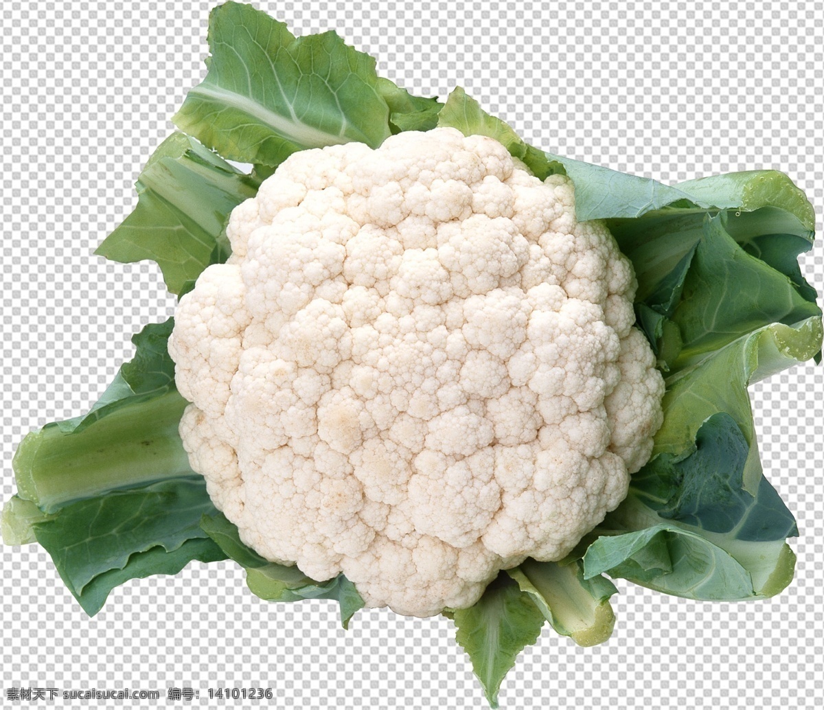 花菜图片 花菜 透明底蔬菜 免抠图 蔬菜 分层图 蔬菜特写 蔬菜写真 火锅蔬菜 新鲜蔬菜 家常蔬菜 有机食品 健康食品 无公害蔬菜 蔬菜照片 瓜果蔬菜 农家蔬菜 蔬菜水果合集 精品蔬菜 有机蔬菜 新鲜 透明背景 透明底 抠图 png图 生物世界 分层 蔬菜透明底