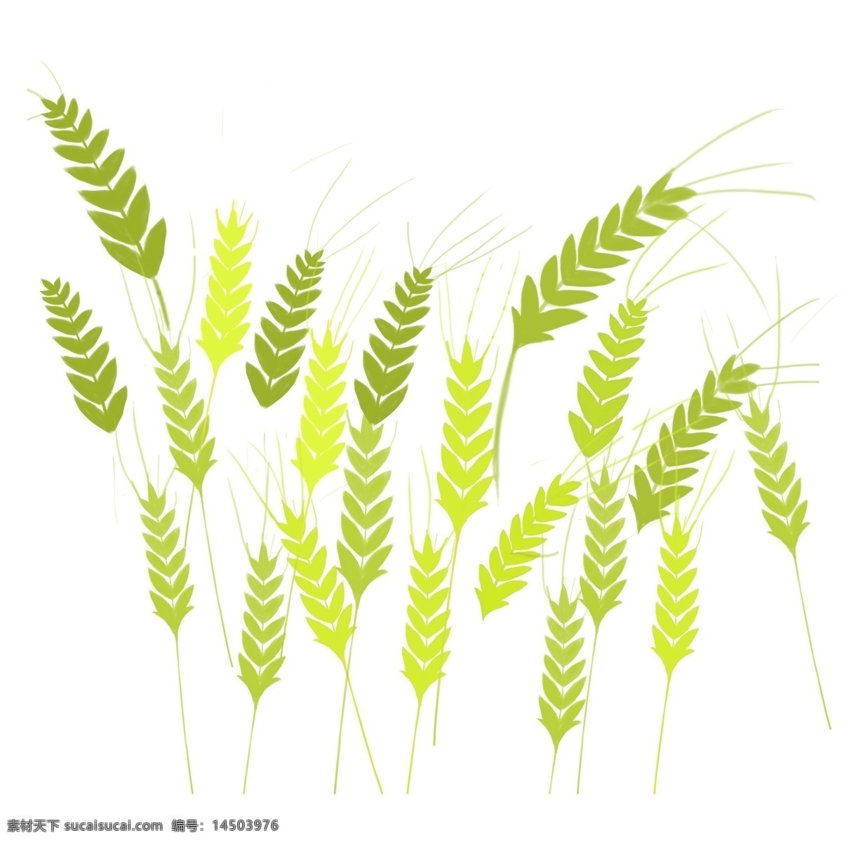 卡通 简约 绿色 麦穗 装饰 绿色麦穗 装饰元素 插画元素 植物