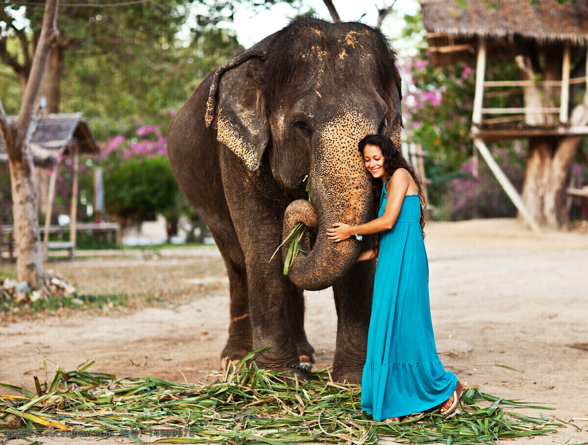 泰国 美女 大象 泰国女人 女性 动物 其他类别 环境家居