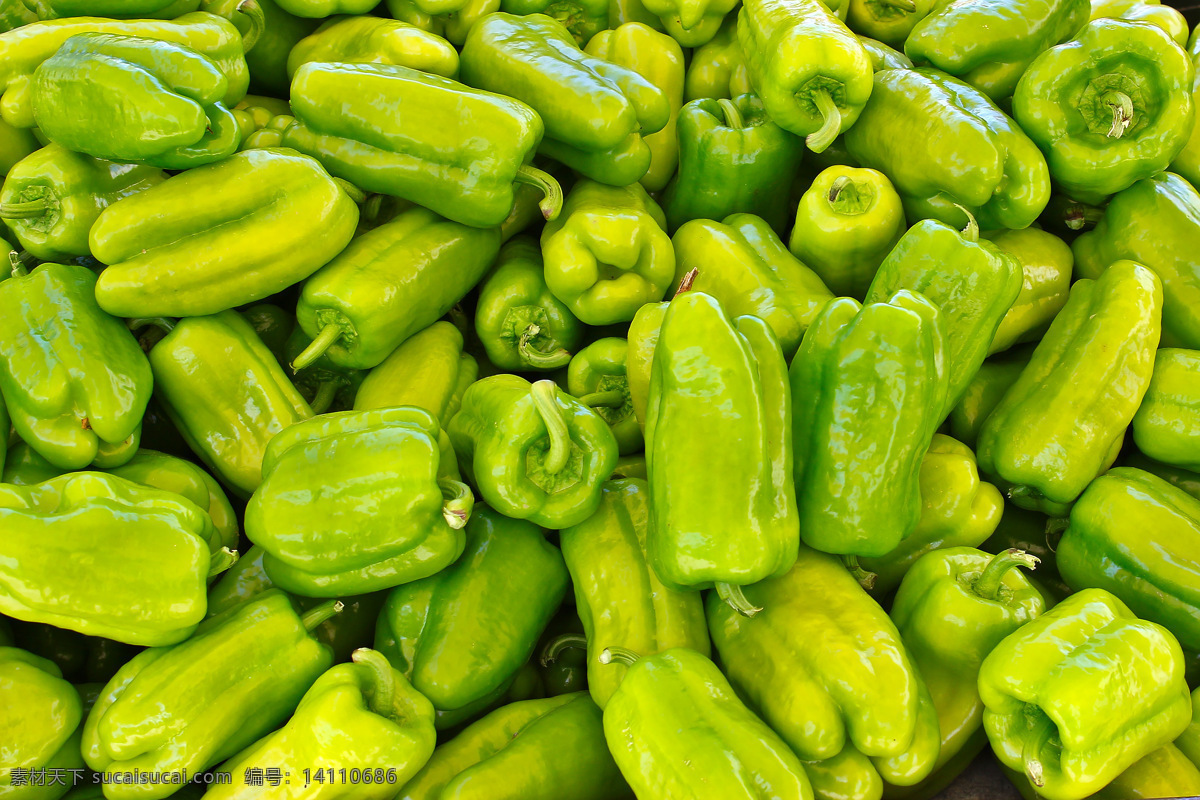 绿色 新鲜 辣椒 青椒 蔬菜 新鲜蔬菜 青菜 食材 蔬菜图片 餐饮美食