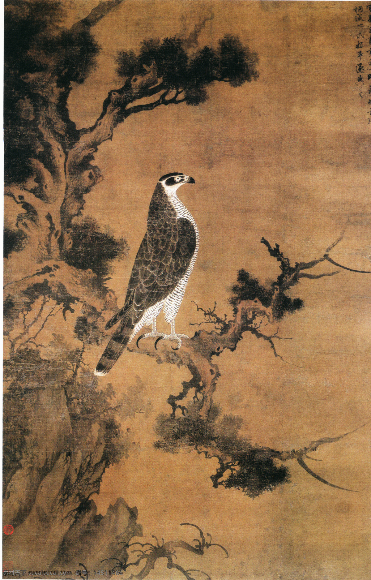 中国 花鸟画 名家 张 舜 咨 雪 界 翁 书画 真迹 鹰 桧 图 古画 花鸟 书画真迹 鹰桧图 中国花鸟画 名家张舜咨 雪界翁 立轴 绢本 设色 张舜咨绘古桧 雪界翁绘黄鹰 水墨写意 文化艺术