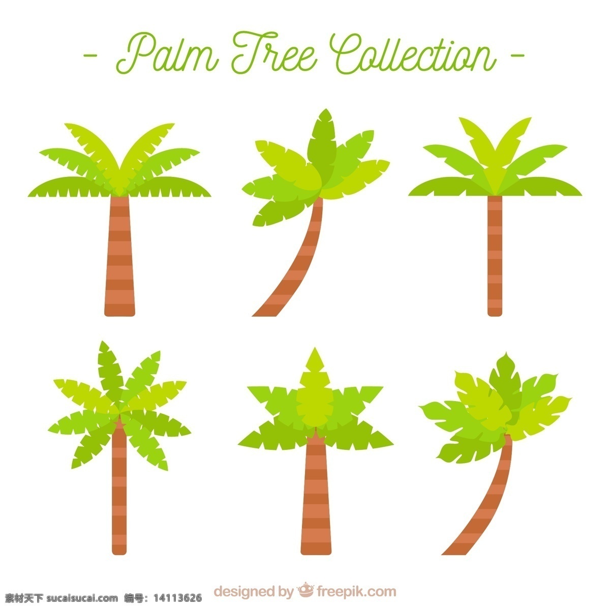 扁平 中 棕榈树 树木 夏季 树叶 自然 热带 平原 植物 环境 平面设计 棕榈叶 包 天堂 树干 异国情调