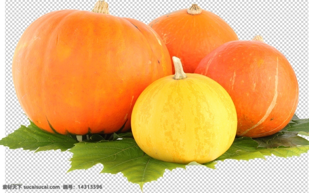 南瓜图片 南瓜 透明底蔬菜 免抠图 蔬菜 分层图 蔬菜特写 蔬菜写真 通道 火锅蔬菜 新鲜蔬菜 家常蔬菜 有机食品 健康食品 无公害蔬菜 蔬菜照片 瓜果蔬菜 农家蔬菜 蔬菜水果合集 精品蔬菜 有机蔬菜 新鲜 特写 透明背景 透明底 抠图 png图 生物世界 分层 蔬菜透明底